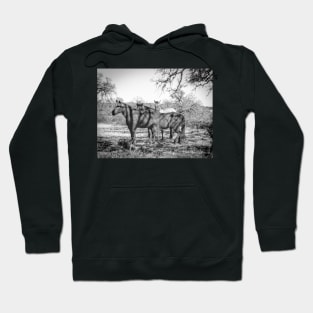 Wild Horses  - Black And White Hoodie